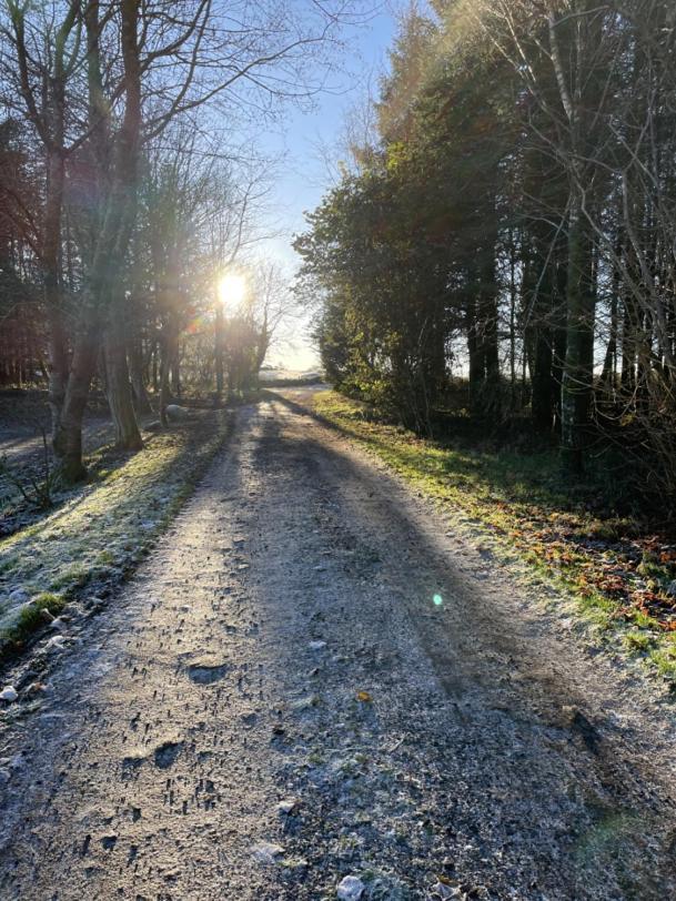 Willa Wrens Nest Newton Stewart Zewnętrze zdjęcie